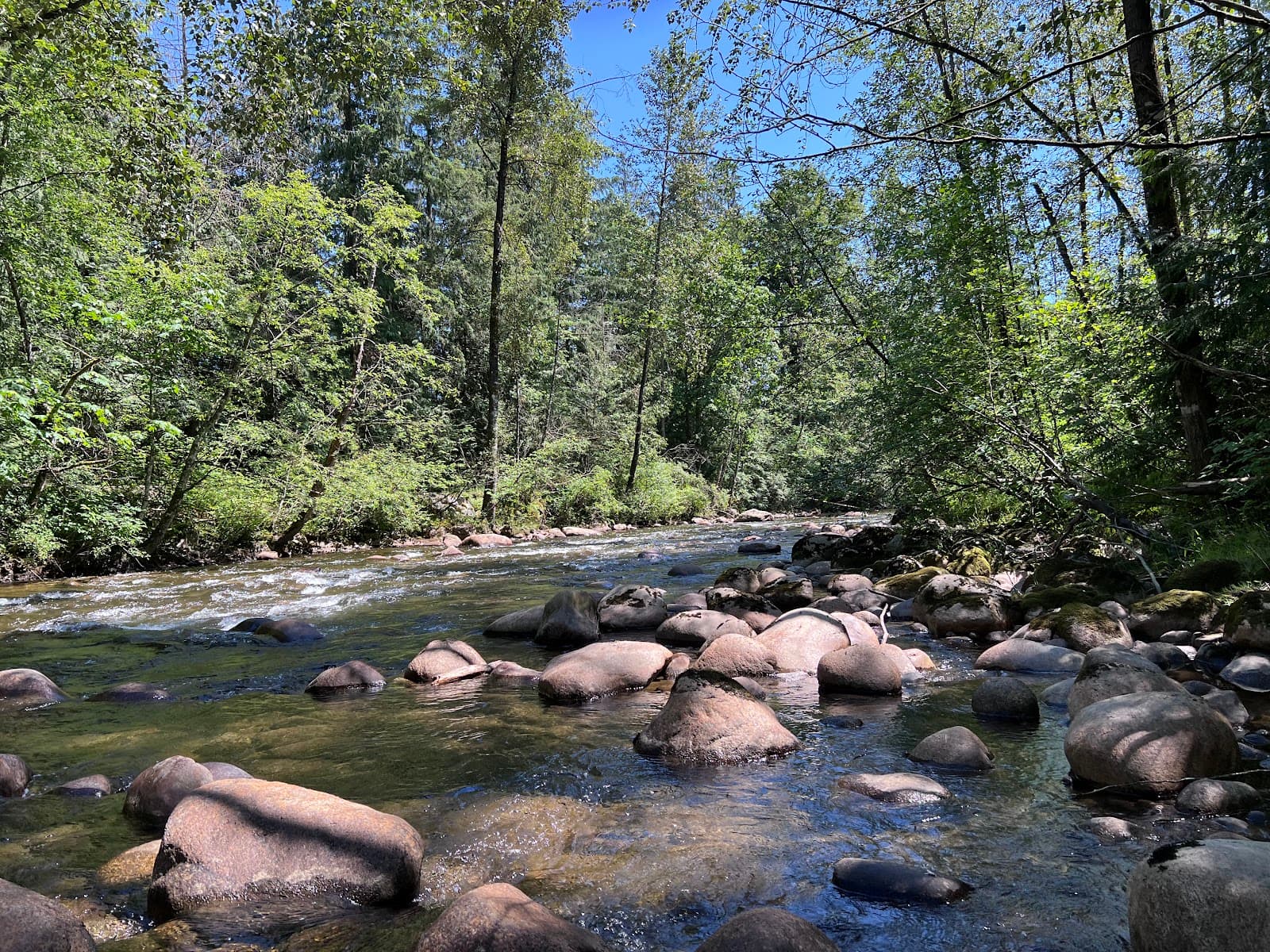 Coquitlam River Park - Image 1