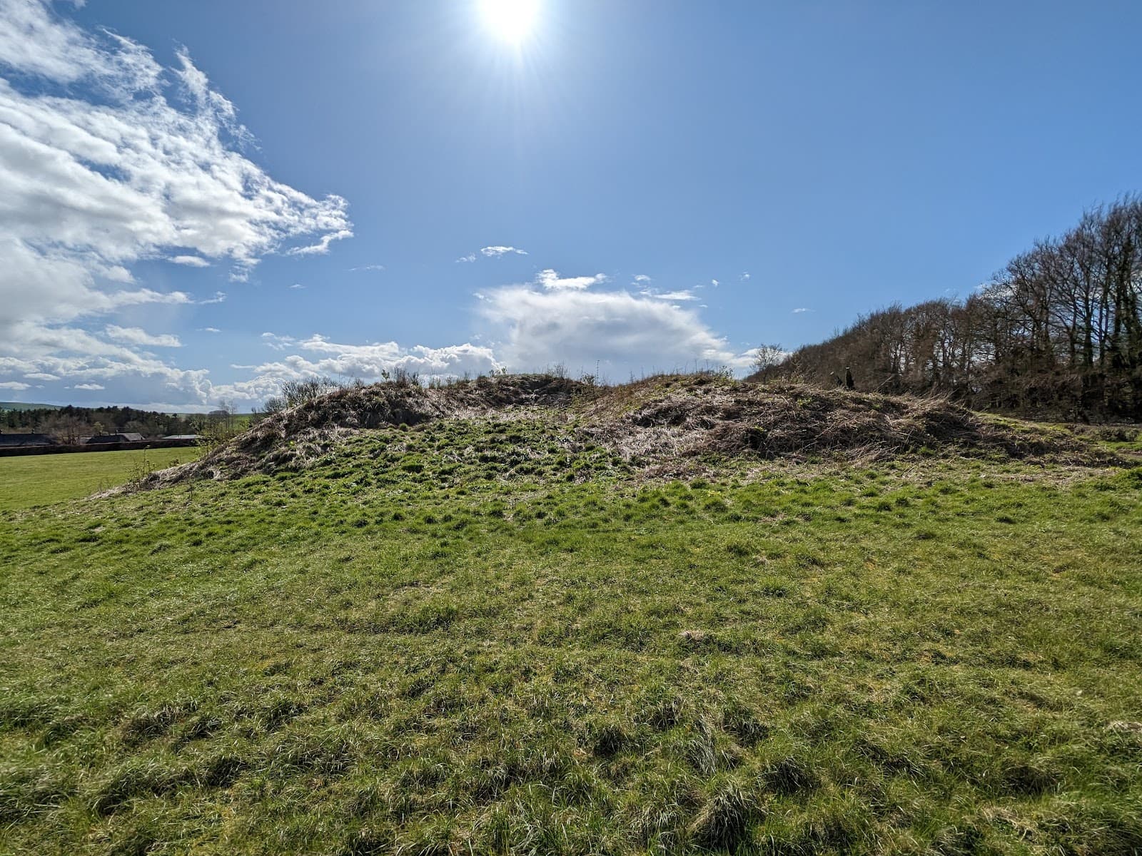 The Longstones, Beckhampton - Image 1