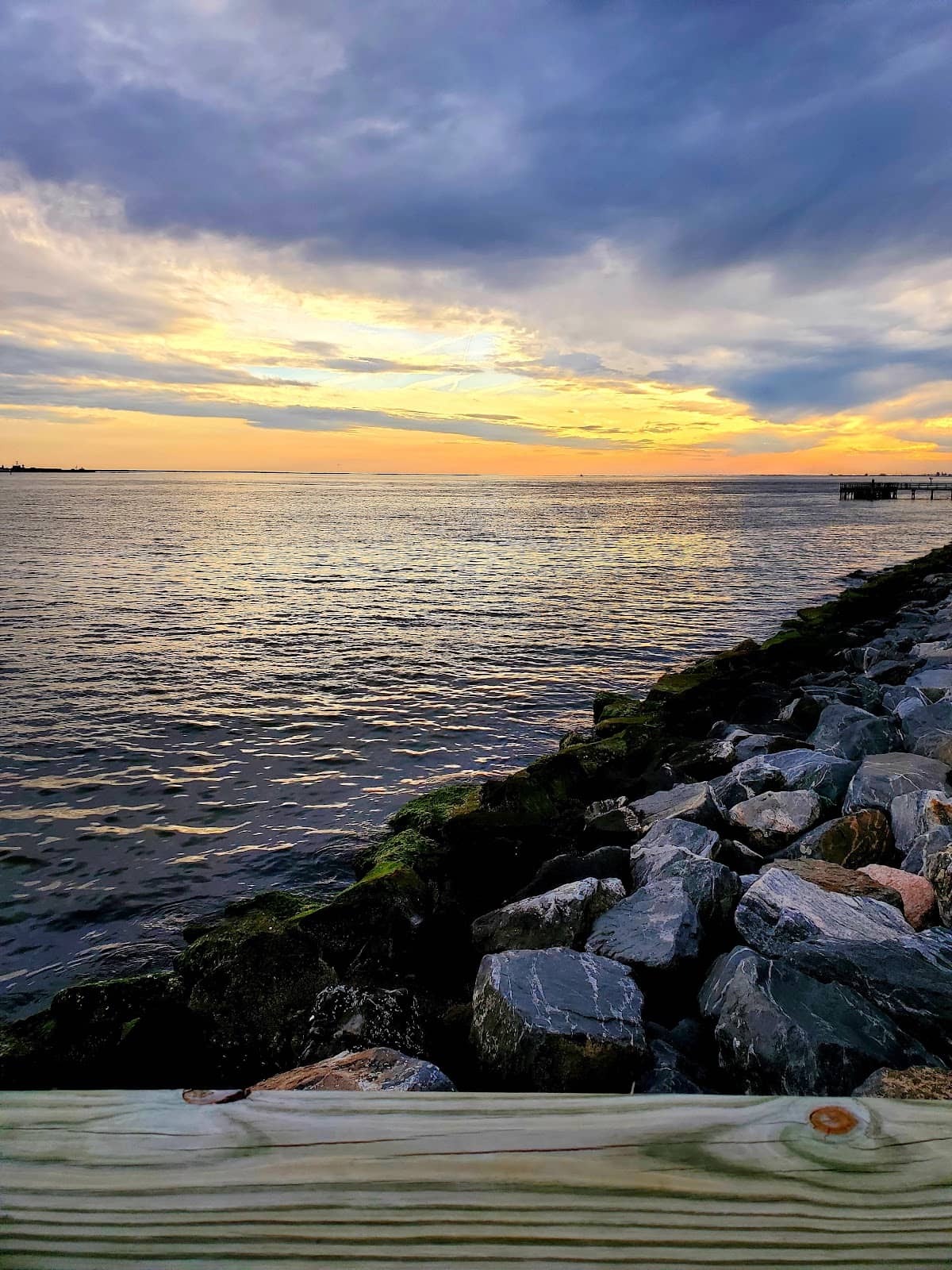 Waterfront Views & Ship Spotting