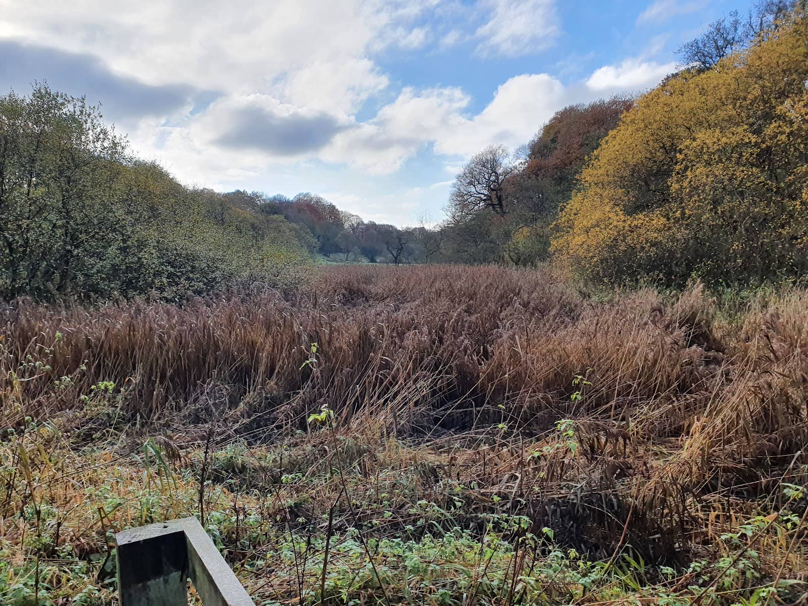Winding Nature Trails