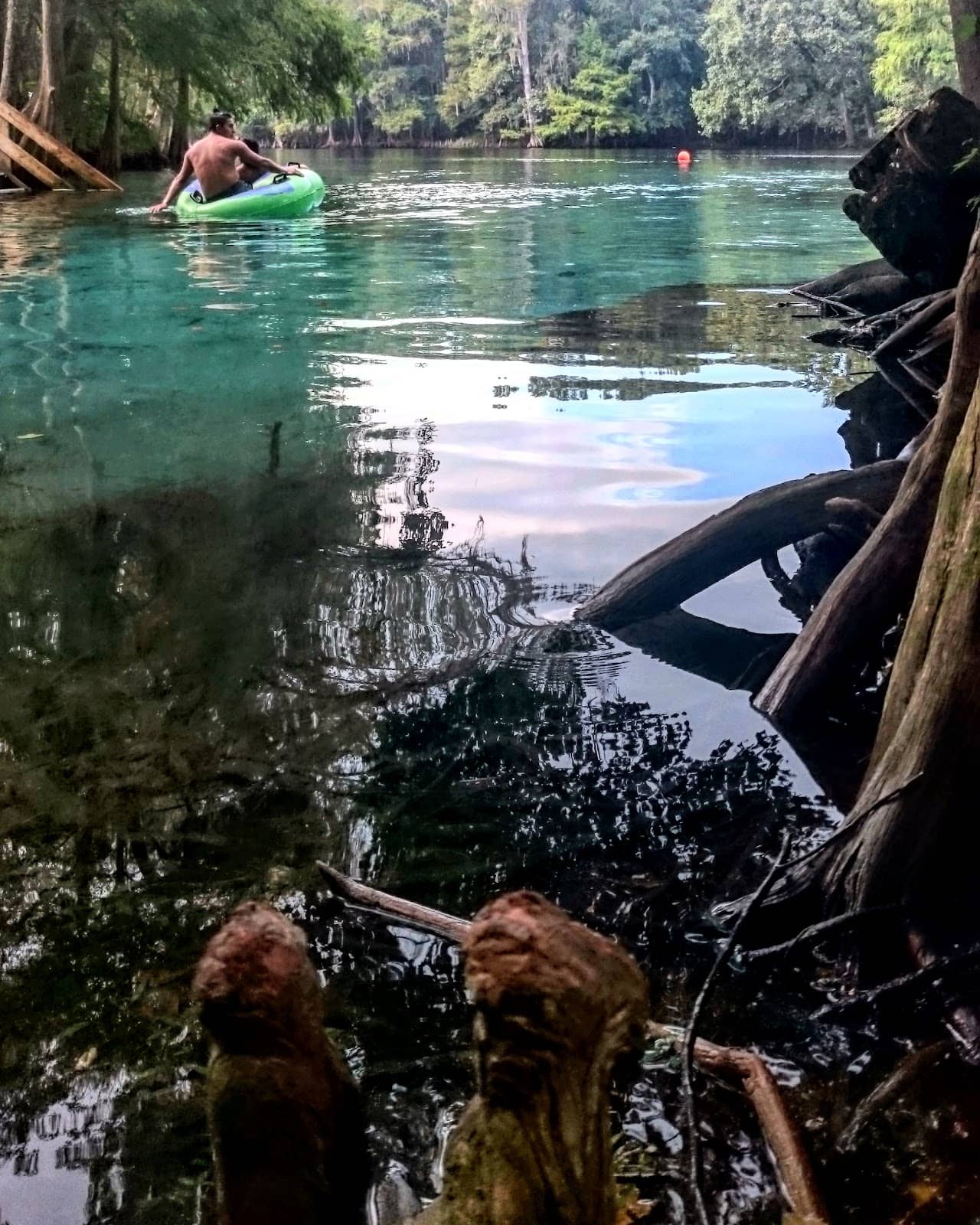 Vertical photo