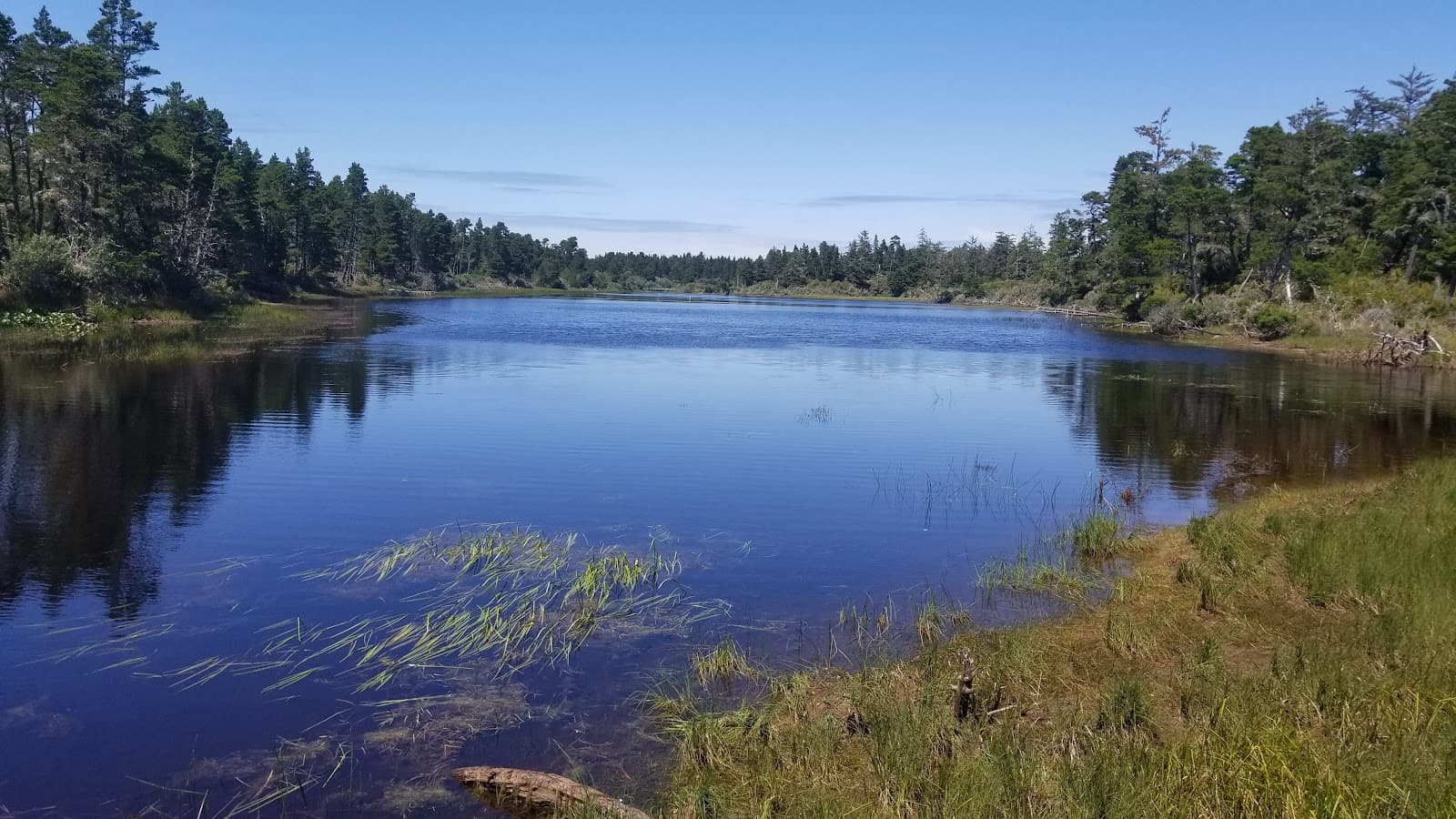 Bluebill Lake Trail - Image 1