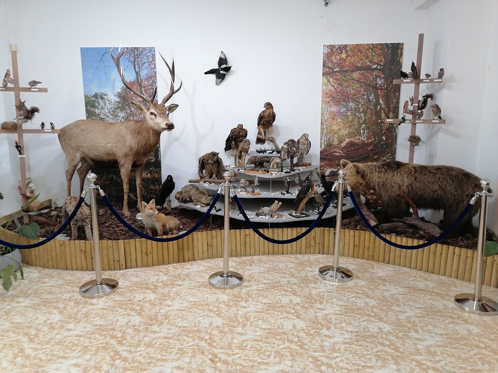 Hornonitrianske Museum (Prievidza) - Image 1