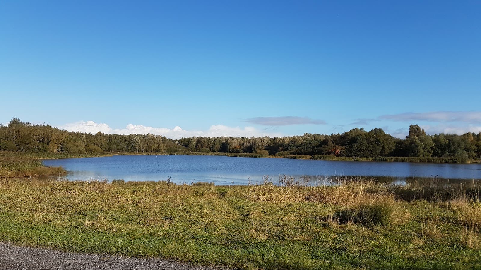 Amberswood Nature Reserve - Image 1