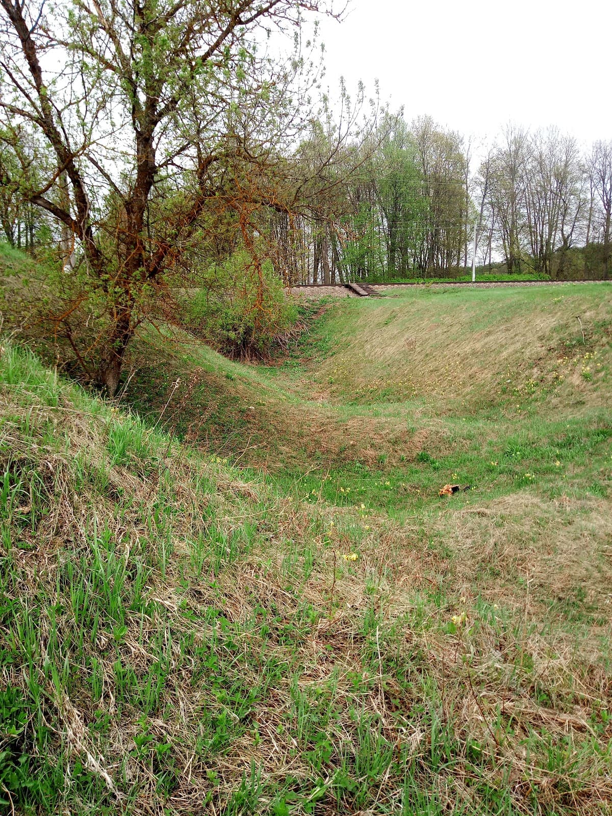Gnezdovo Archaeological Complex - Image 1