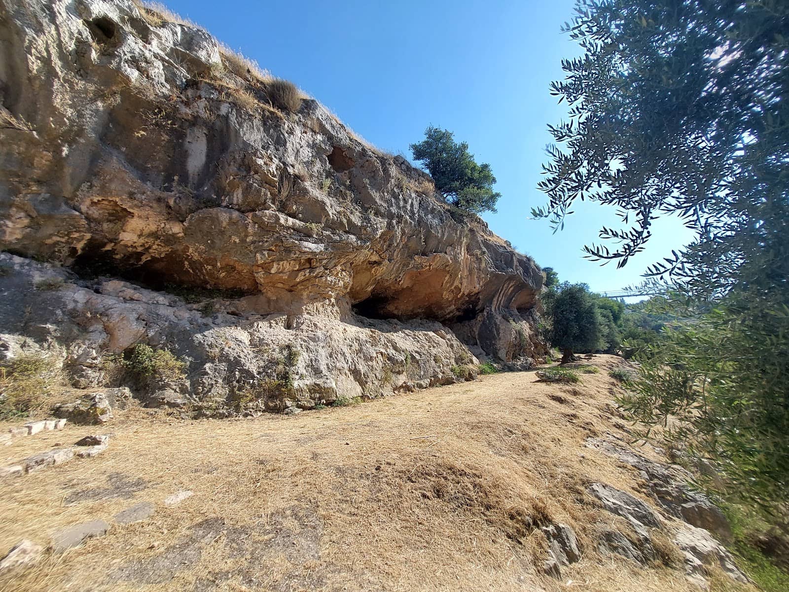 Vertical photo