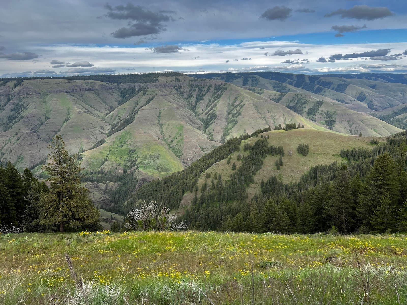 Joseph Canyon Viewpoint - Image 1