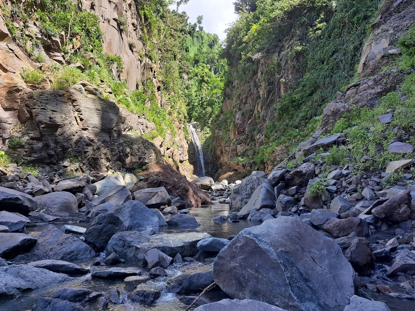 Vertical photo