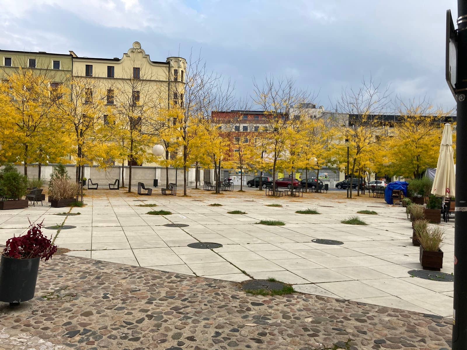 Christmas Market Magic