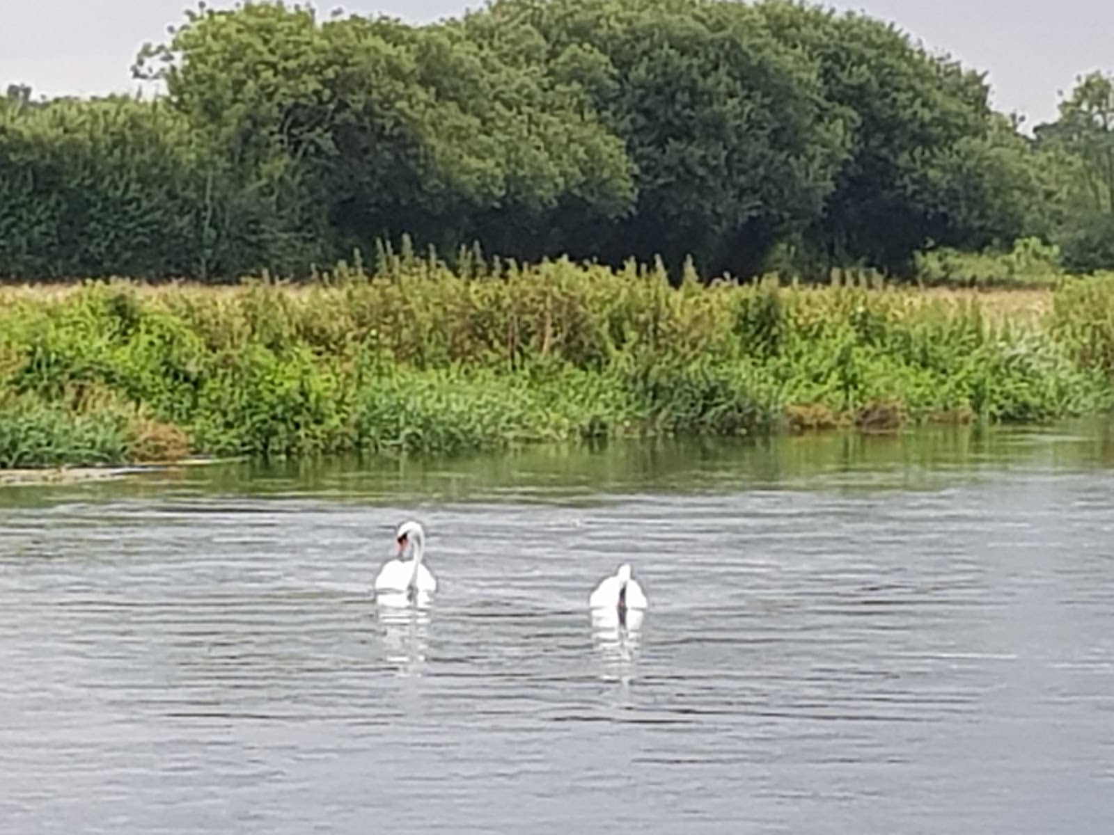 Peaceful Countryside