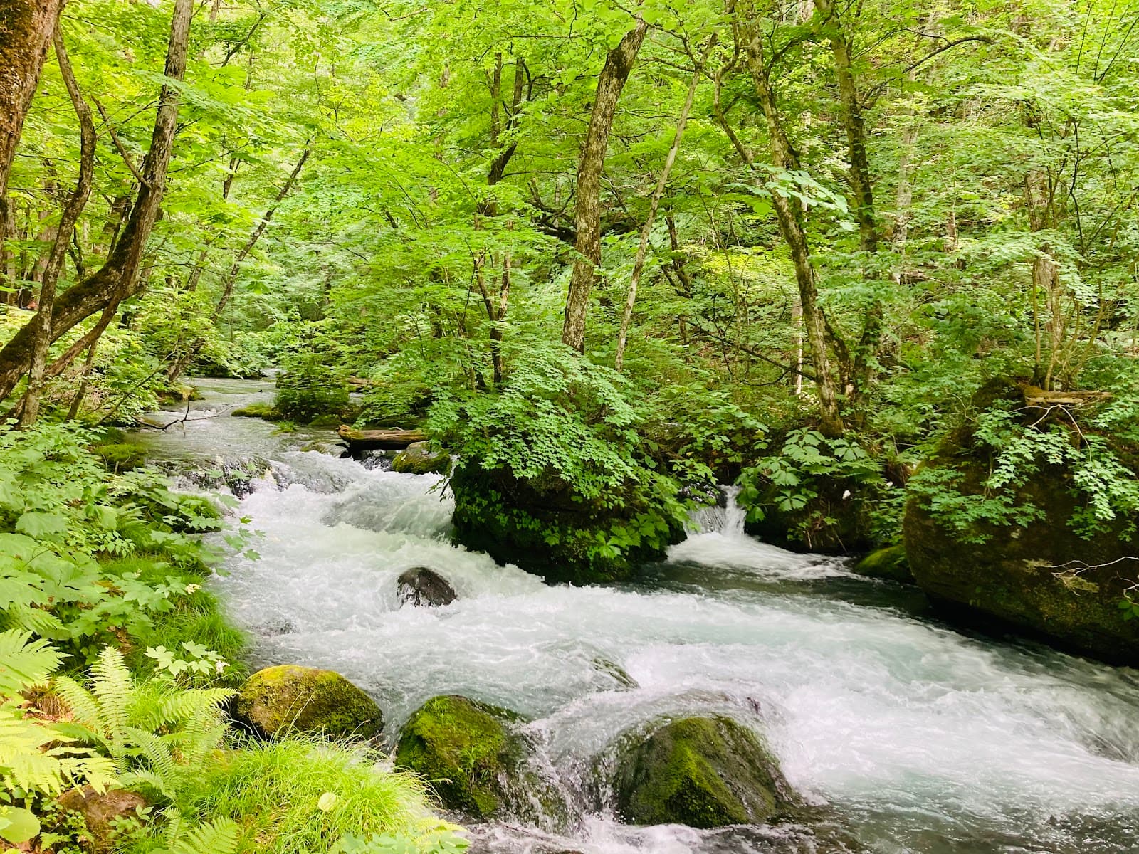 Towada-Hachimantai National Park - Image 1