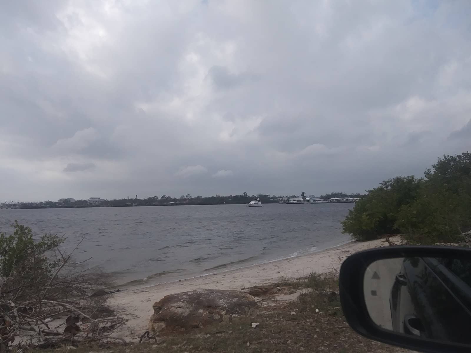 Dwarf Palmetto Groves