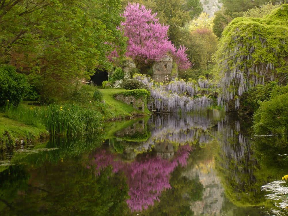 Crystal-Clear Streams