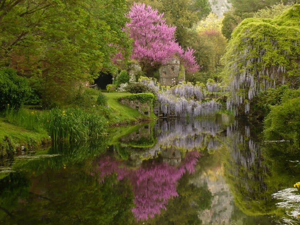 Gardens of Ninfa - Image 1