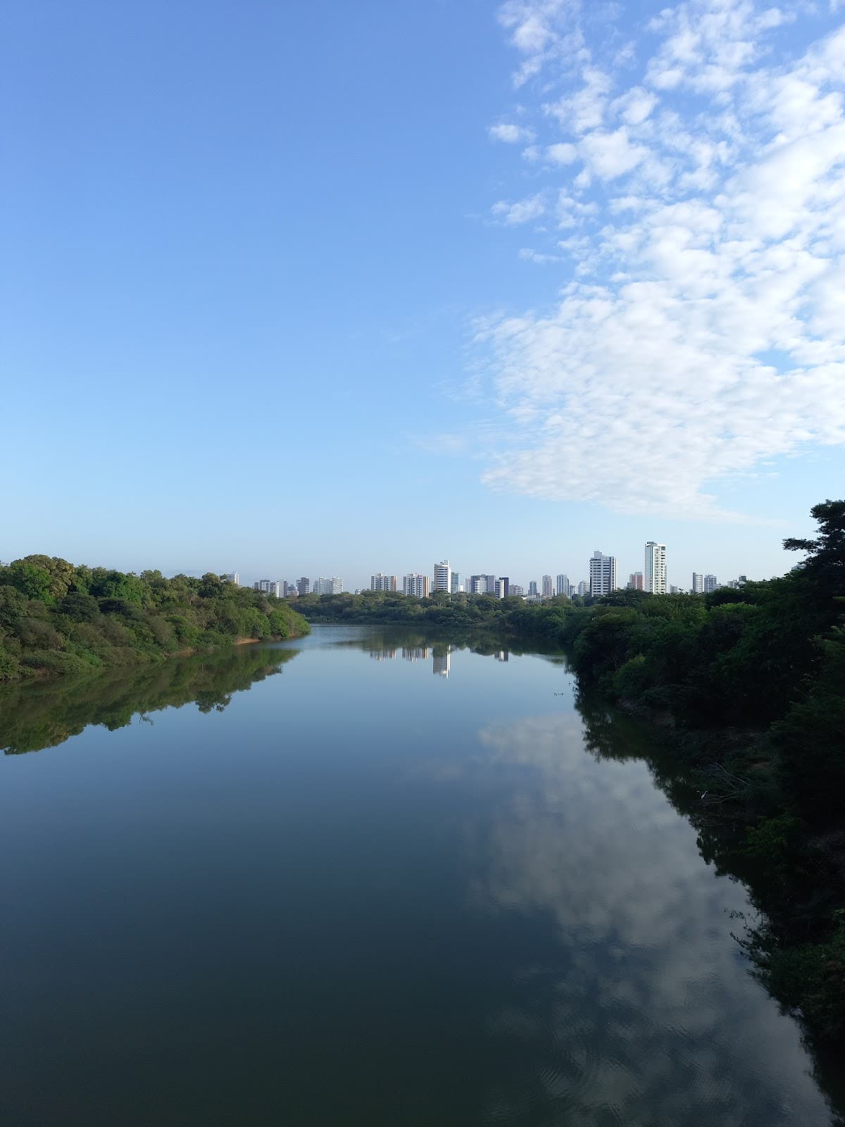 Wall Ferraz Bridge - Image 1