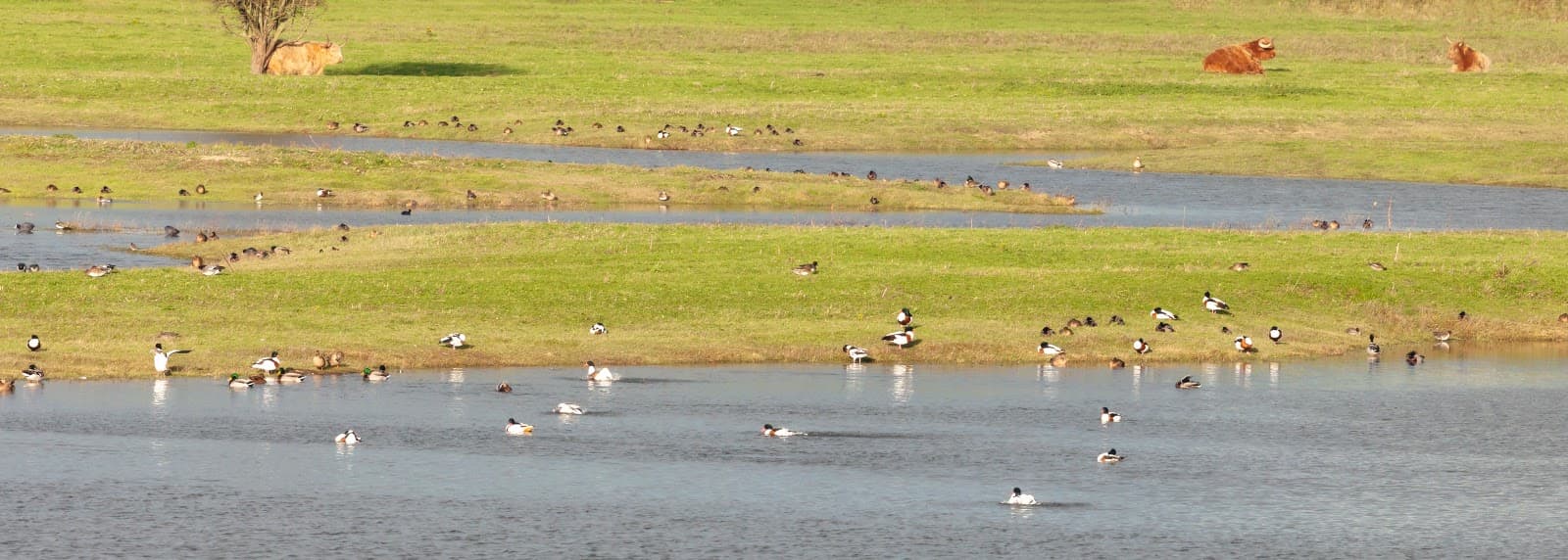 Platier d'Oye Nature Reserve - Image 1