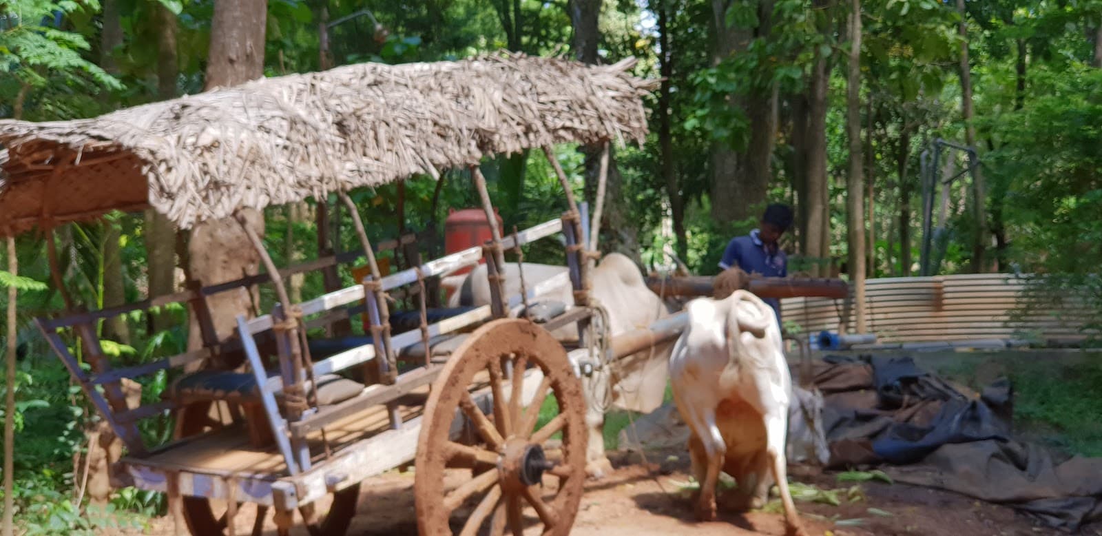 Hiriwadunna Village and Lake - Image 1