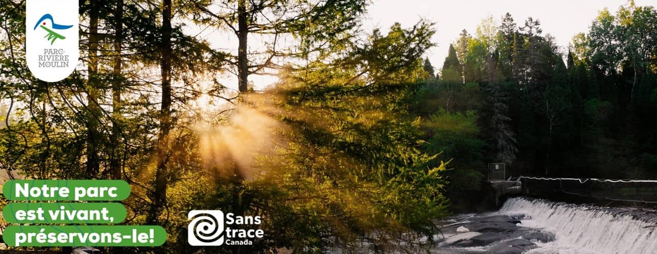 Family-Friendly Play Areas