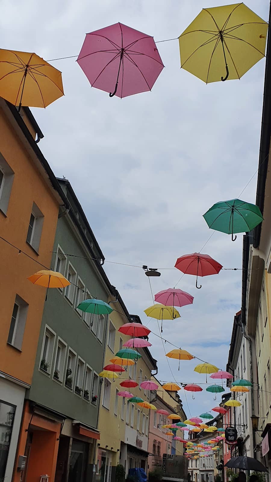 Vertical photo