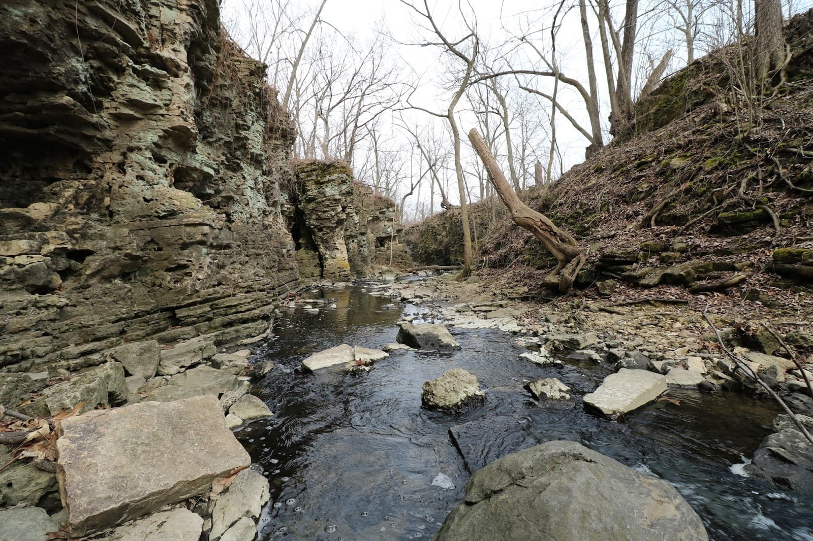 Sagawau Environmental Learning Center - Image 1