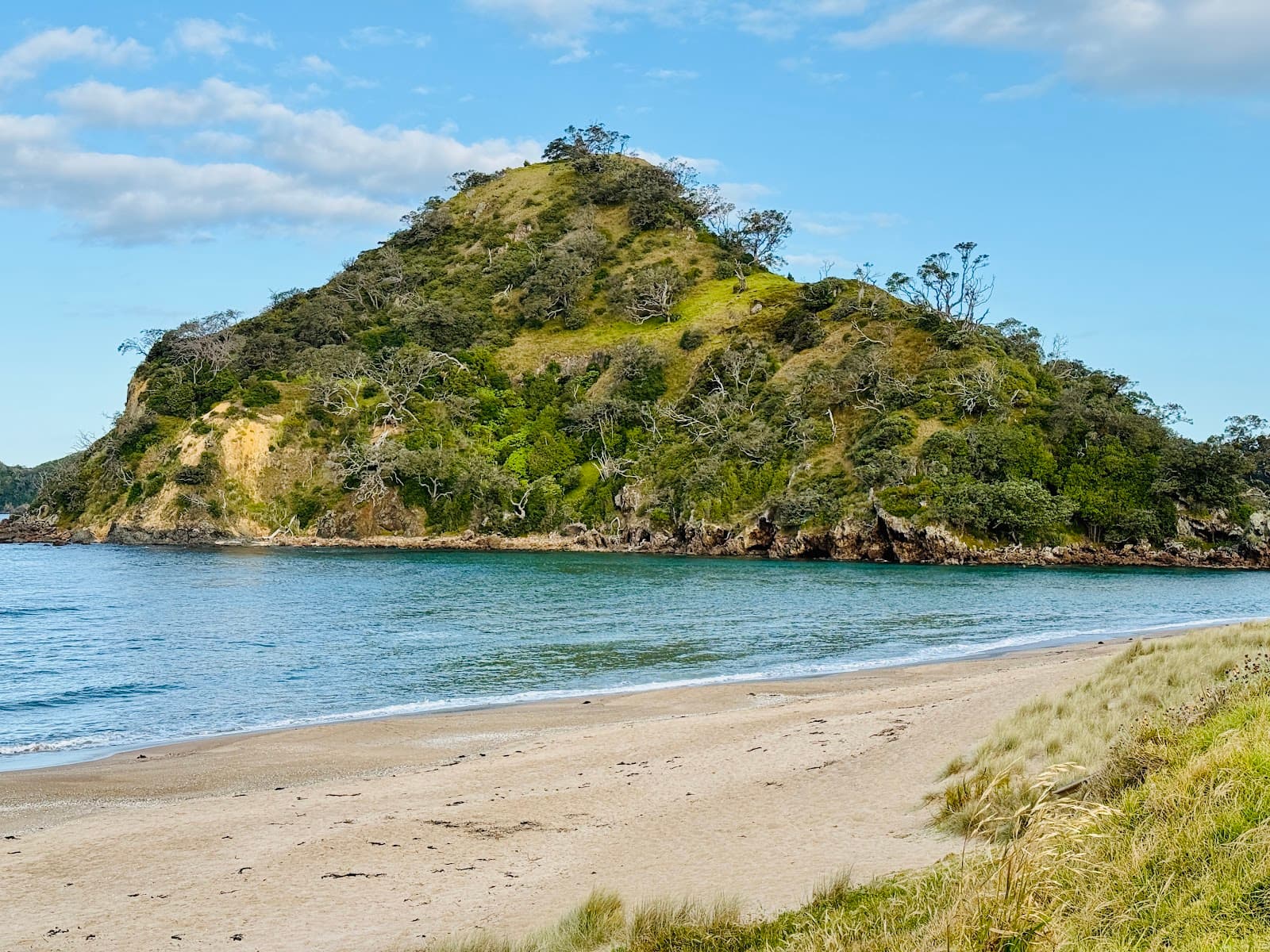 Pataua Footbridge and Estuary - Image 1