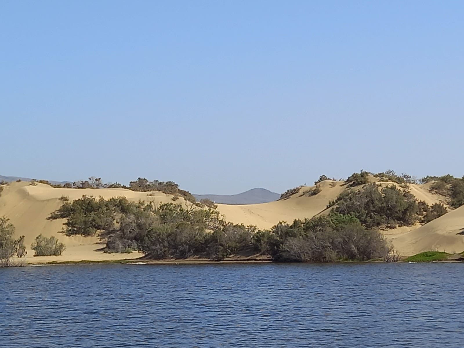 La Charca de Maspalomas - Image 1