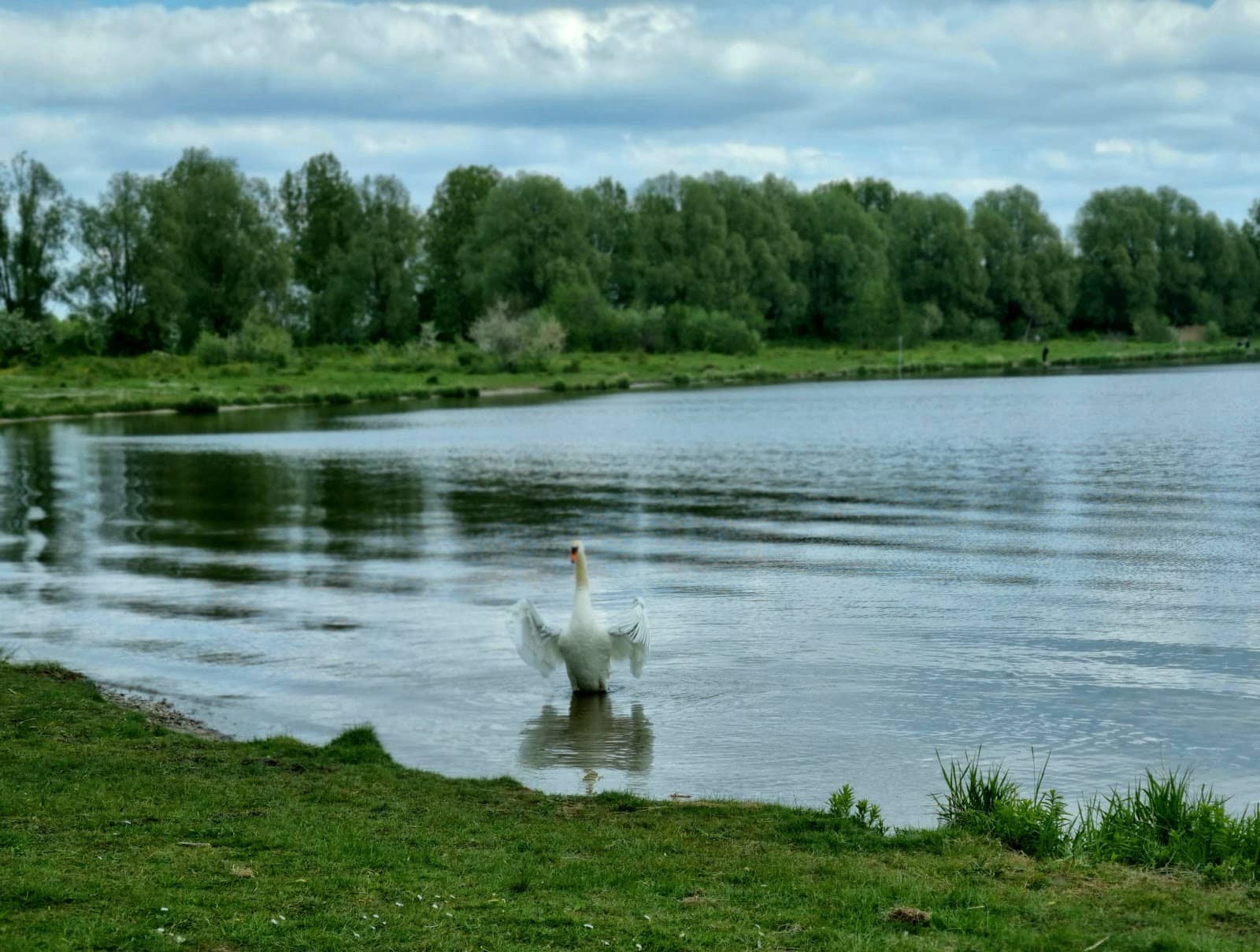 Nature Reserve