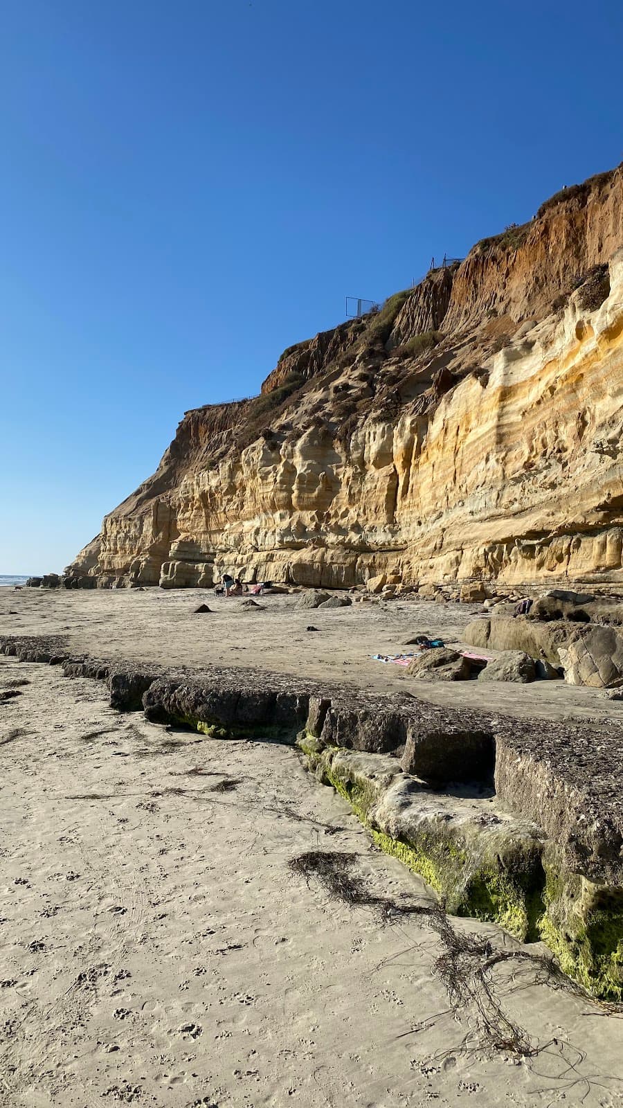 Scripps Bluff Preserve - Image 1