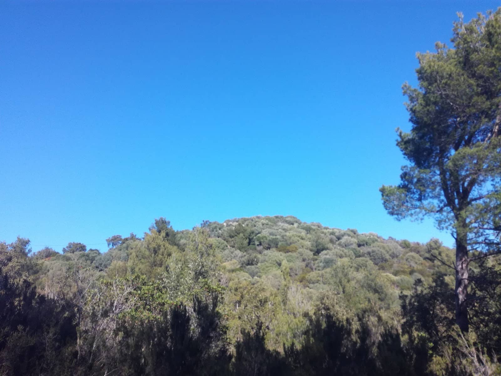 Vertical photo