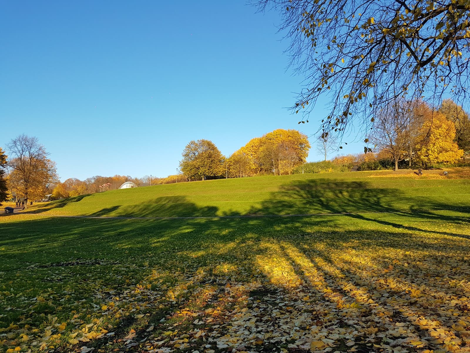 Øya Norway - Image 1