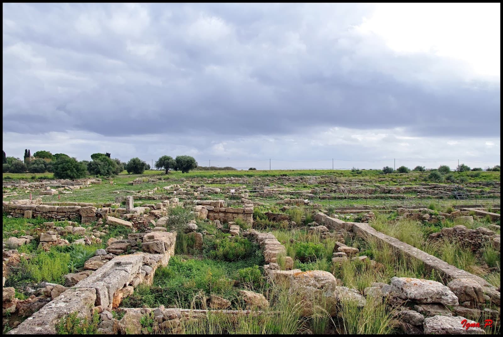 Megara Hyblaea - Image 1