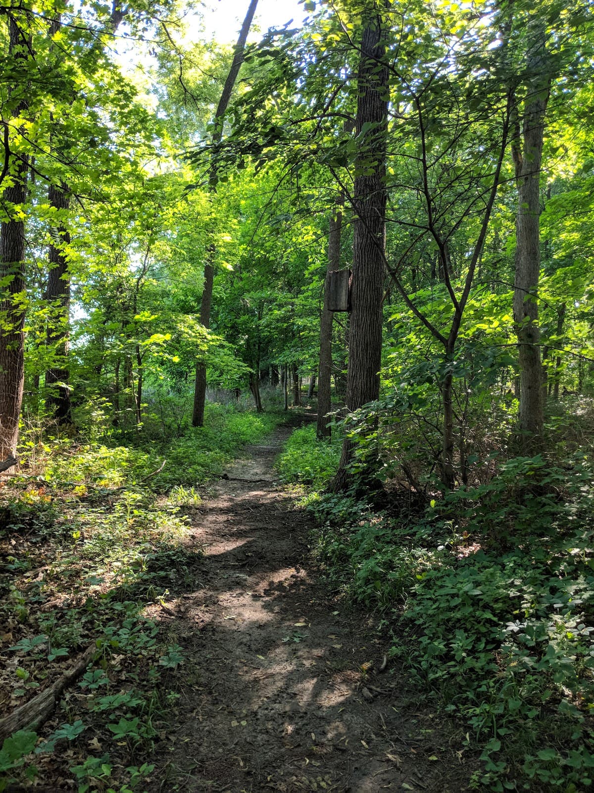 Mississippi River Trail – LeClaire - Image 1