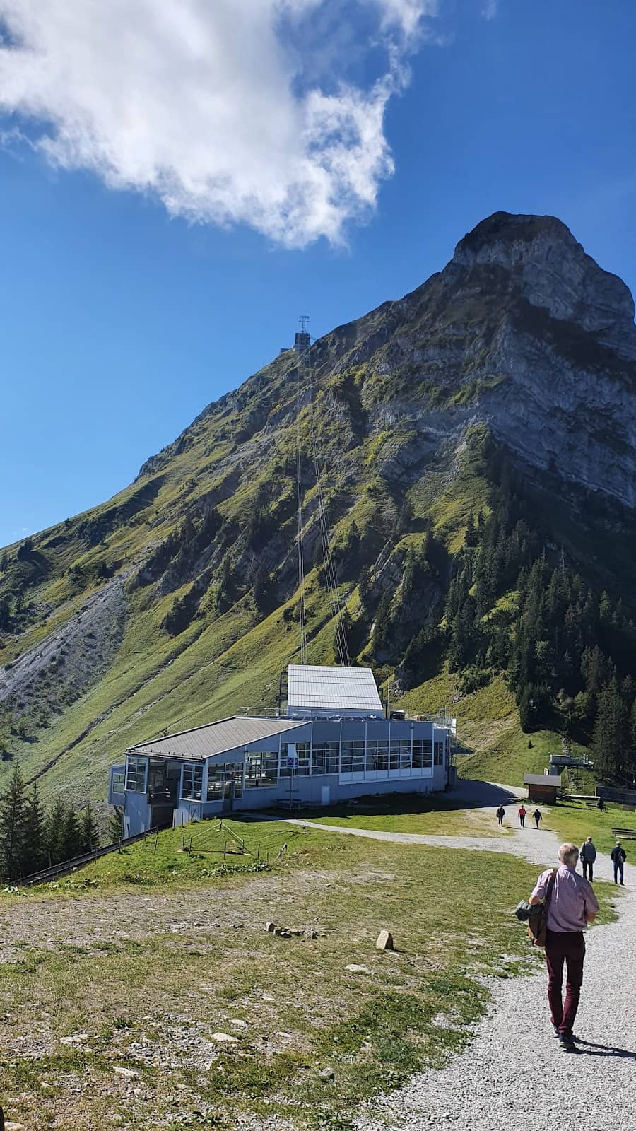 Vertical photo