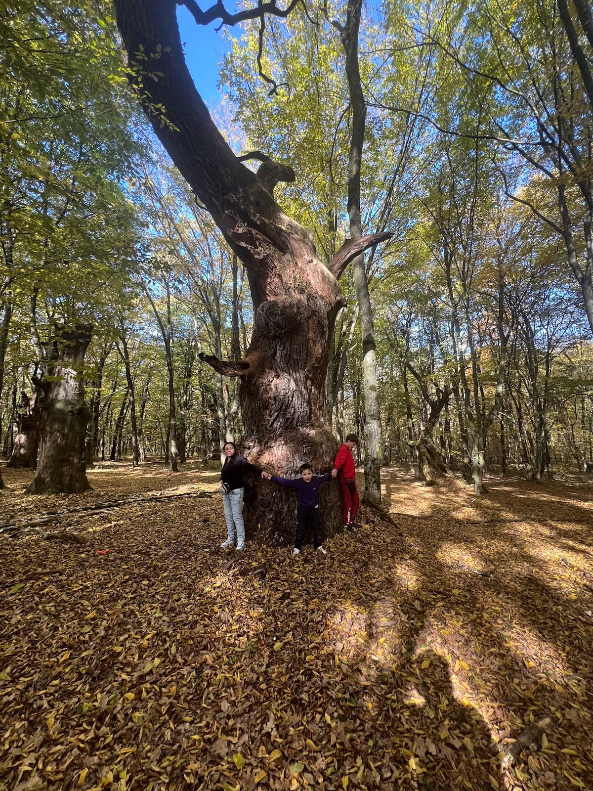 Vertical photo