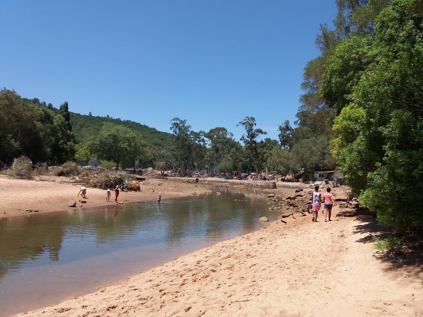 Picnic Area & Bridge
