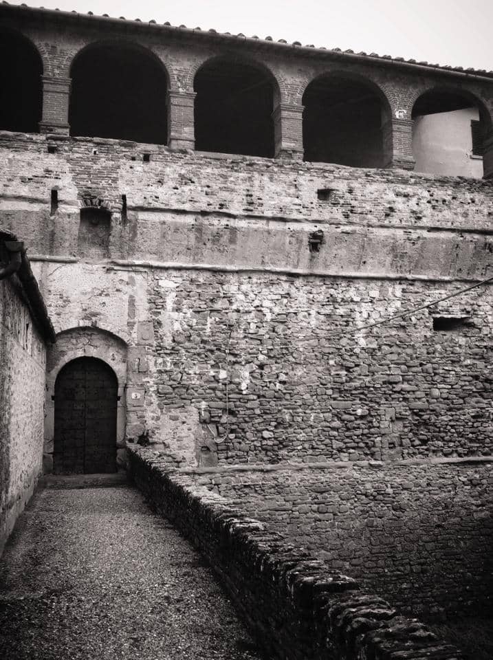 Vertical photo