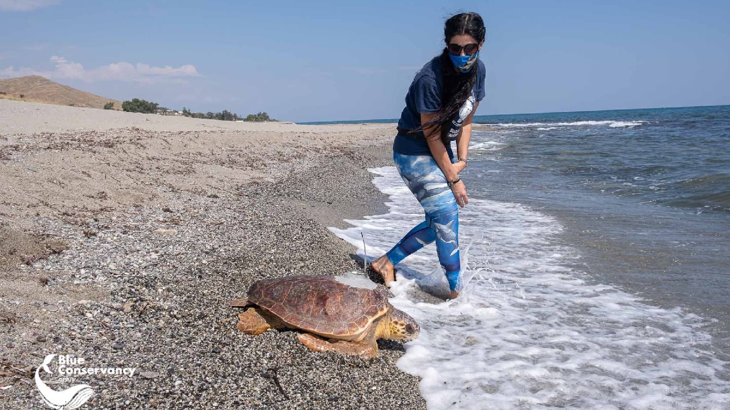 Sea Turtle Rescue Center (Le Castella) - Image 1