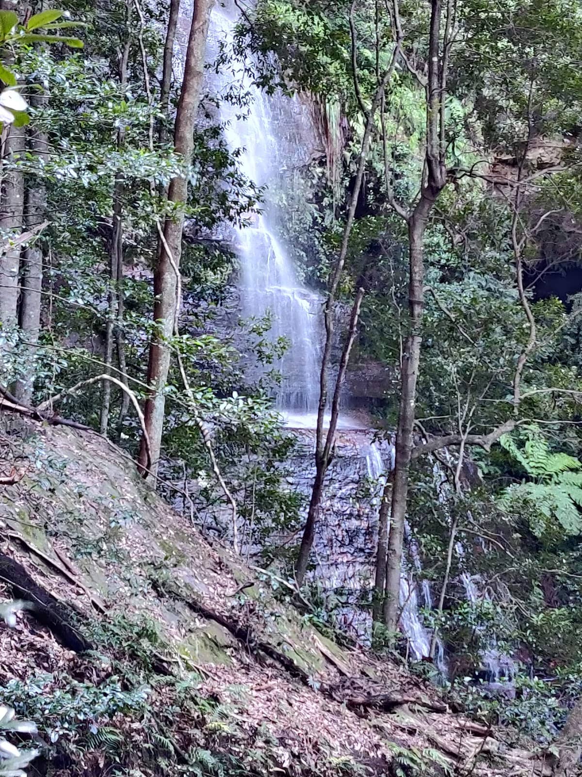 Vertical photo