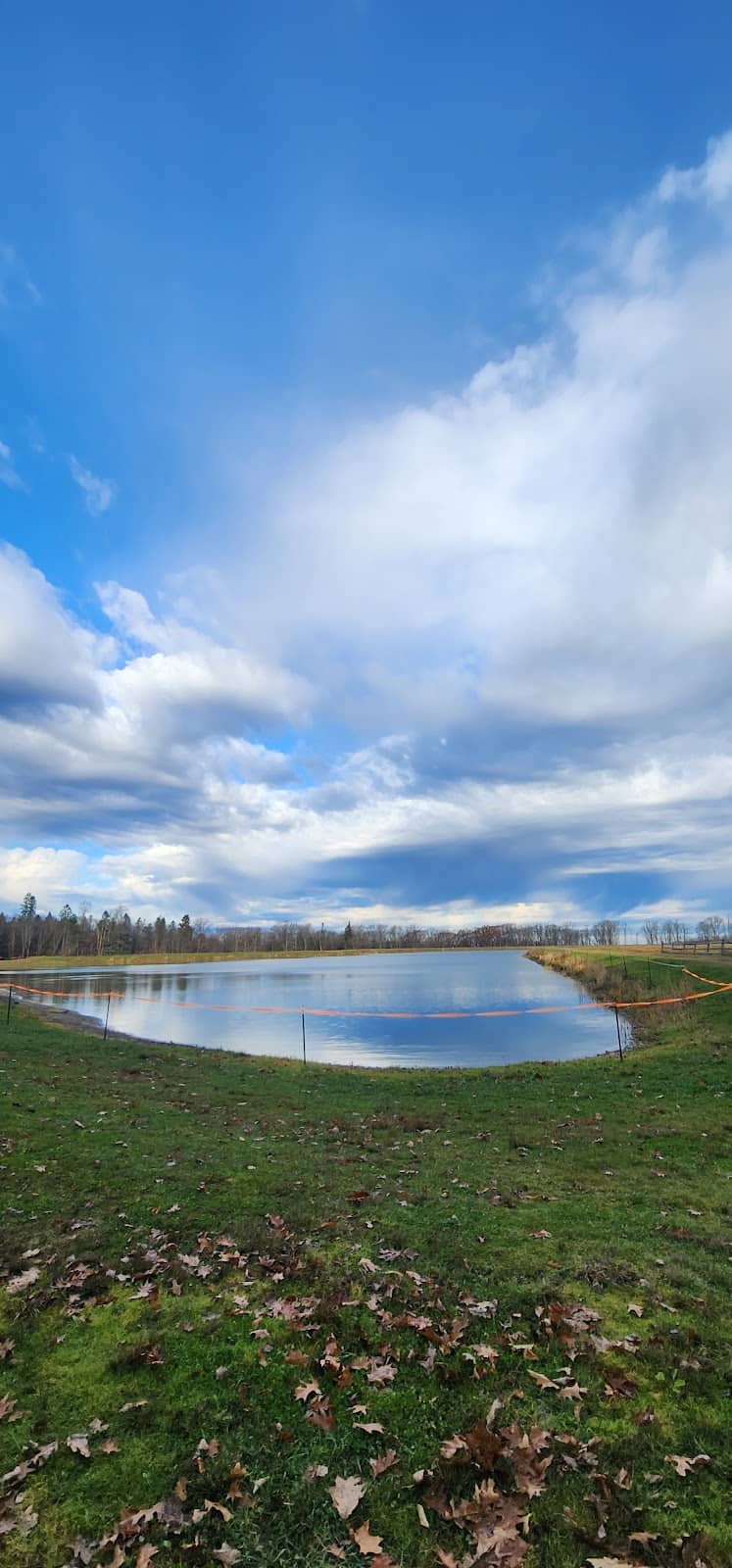 Picnic Spots
