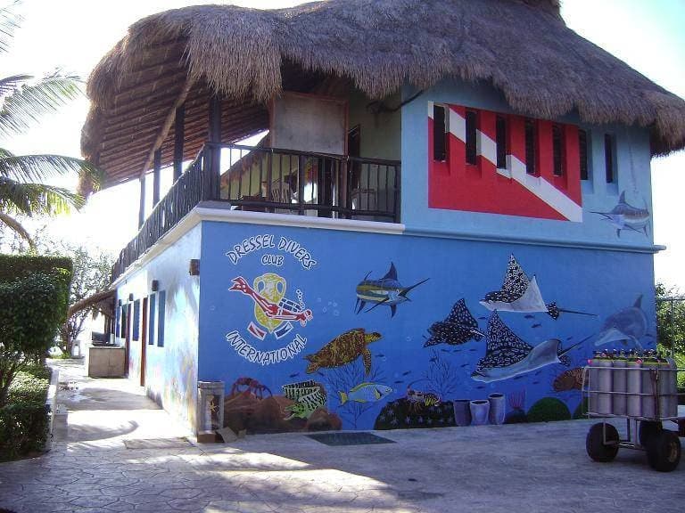 Delilah Wreck, Cozumel - Image 1