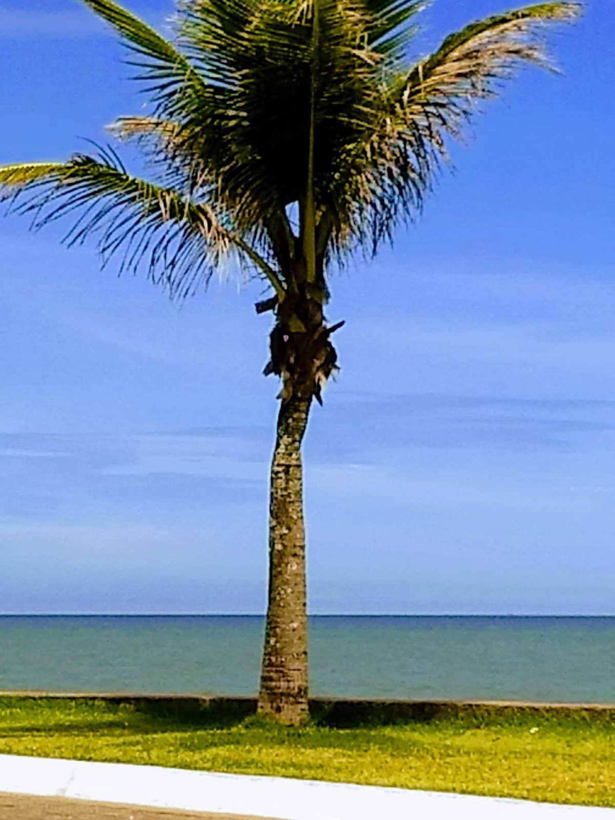 Painted Airplane Symbol