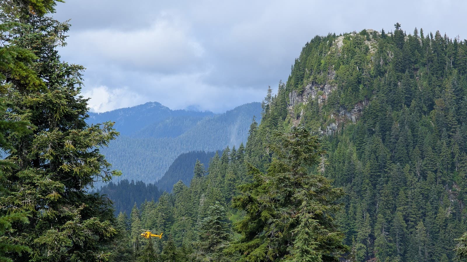 Dam Mountain Grouse Alpine - Image 1