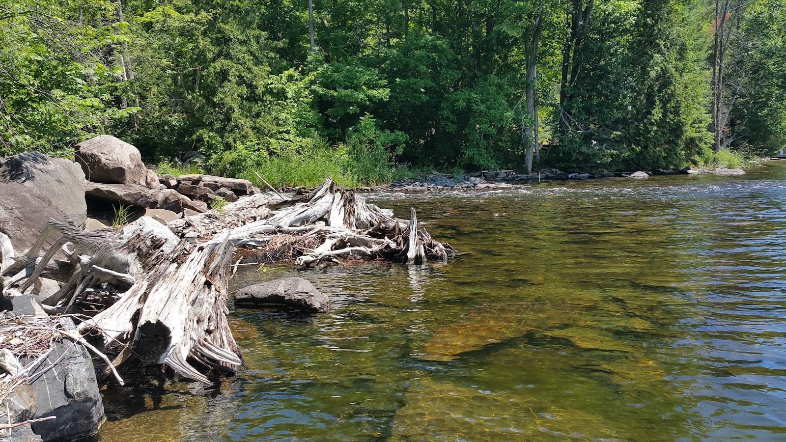 Eagle Lake - Image 1