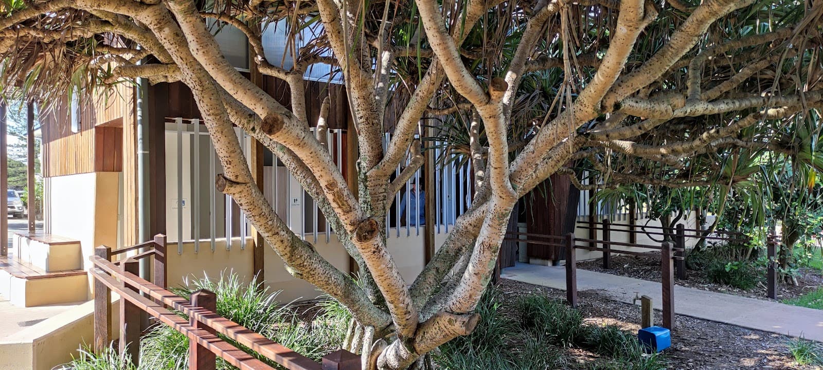 Peregian Beach - Image 1