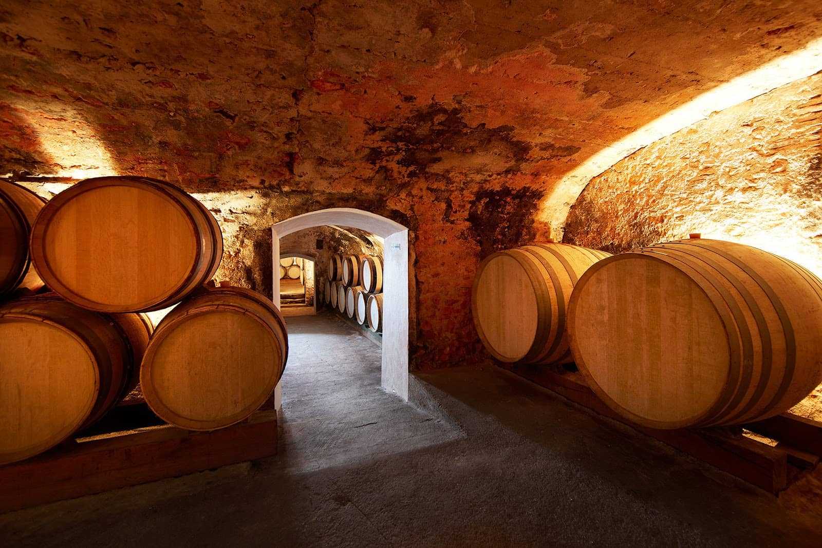 Ancient Terroir & Fossils