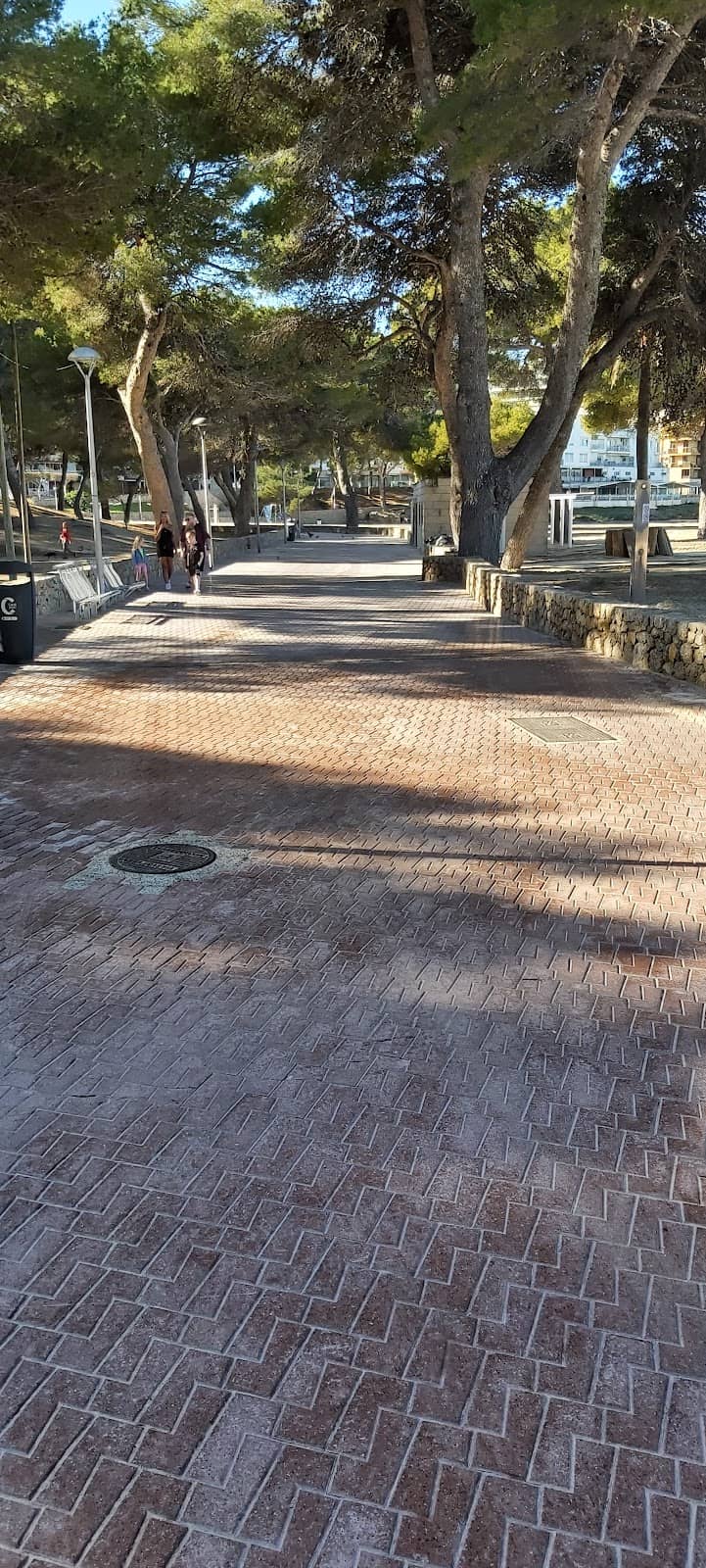 Vertical photo