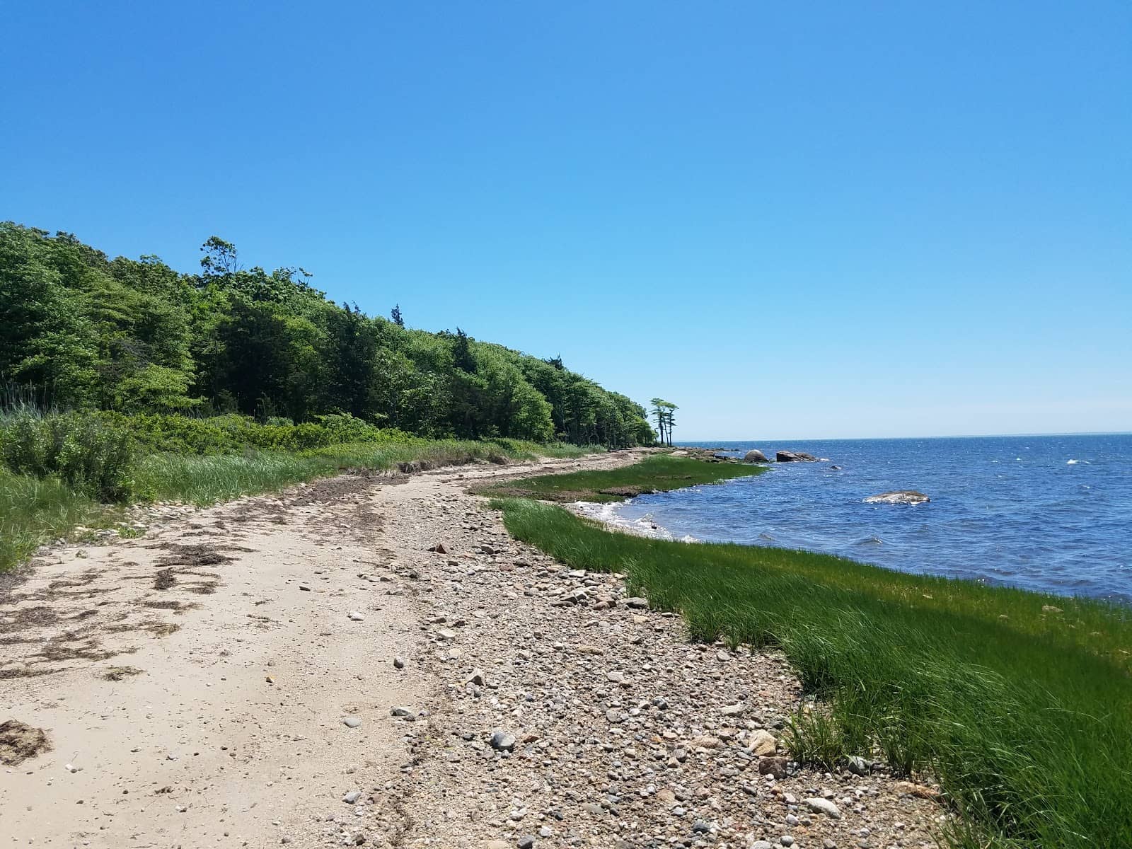 Shaw Farm Trail