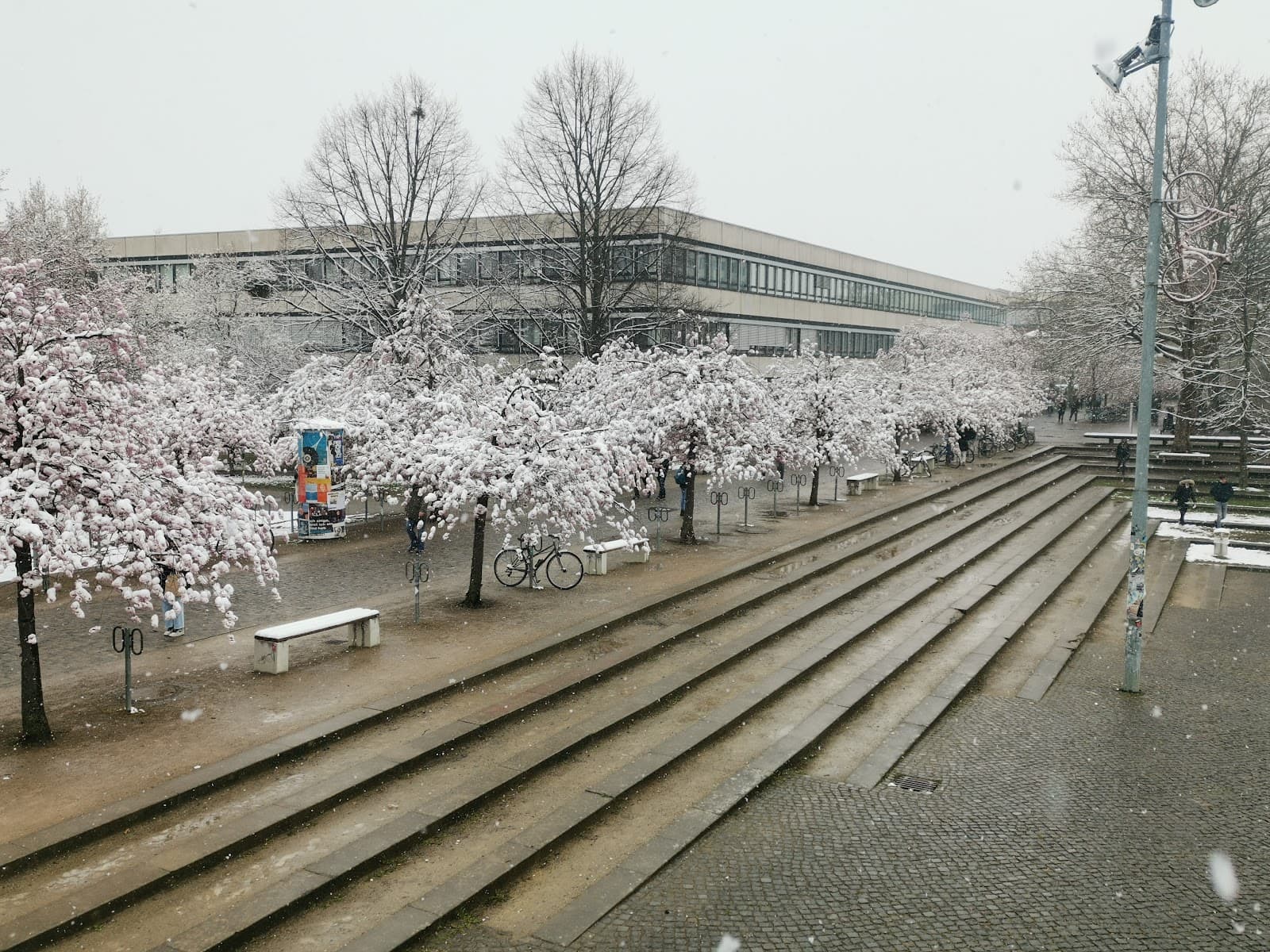 Georg-August-Universität Göttingen - Image 1