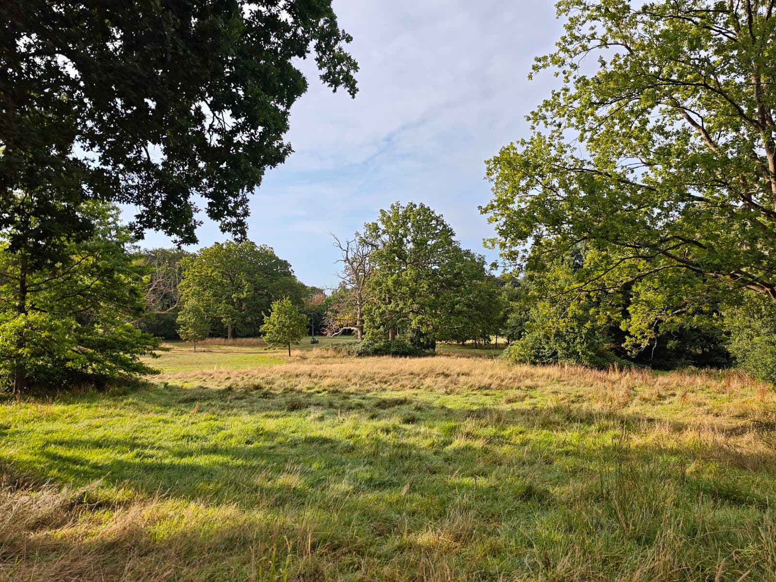 Lily Hill Park - Image 1