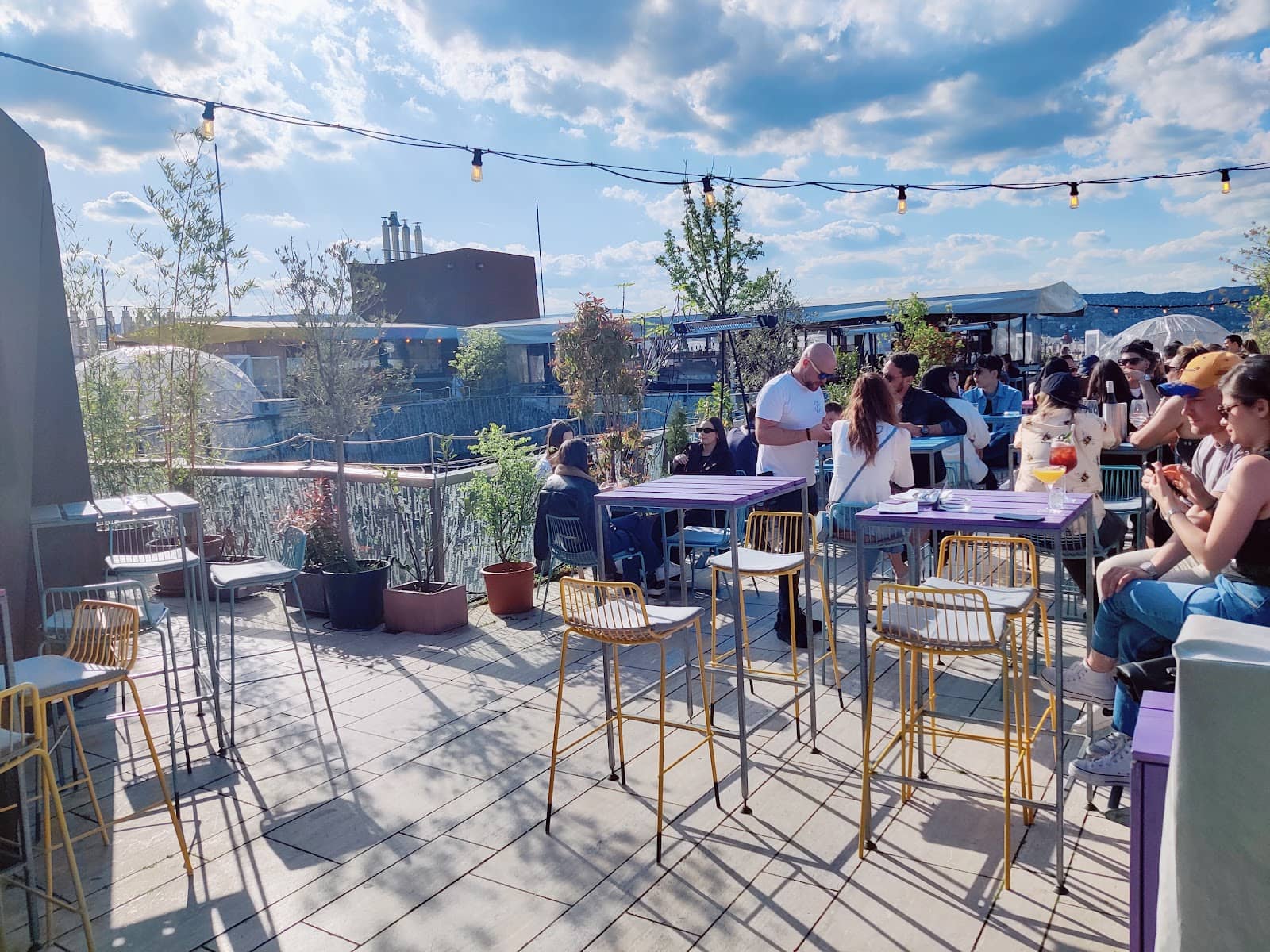 Creative Cocktails & Bites